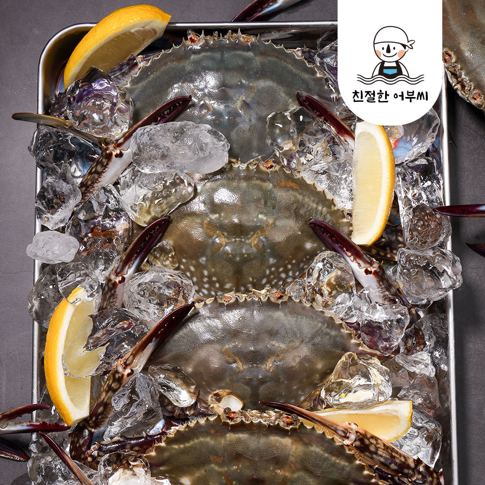 서해안 꽃게 활꽃게 구매 생물 꽃게 급냉 꽃게 꽃게 후기
