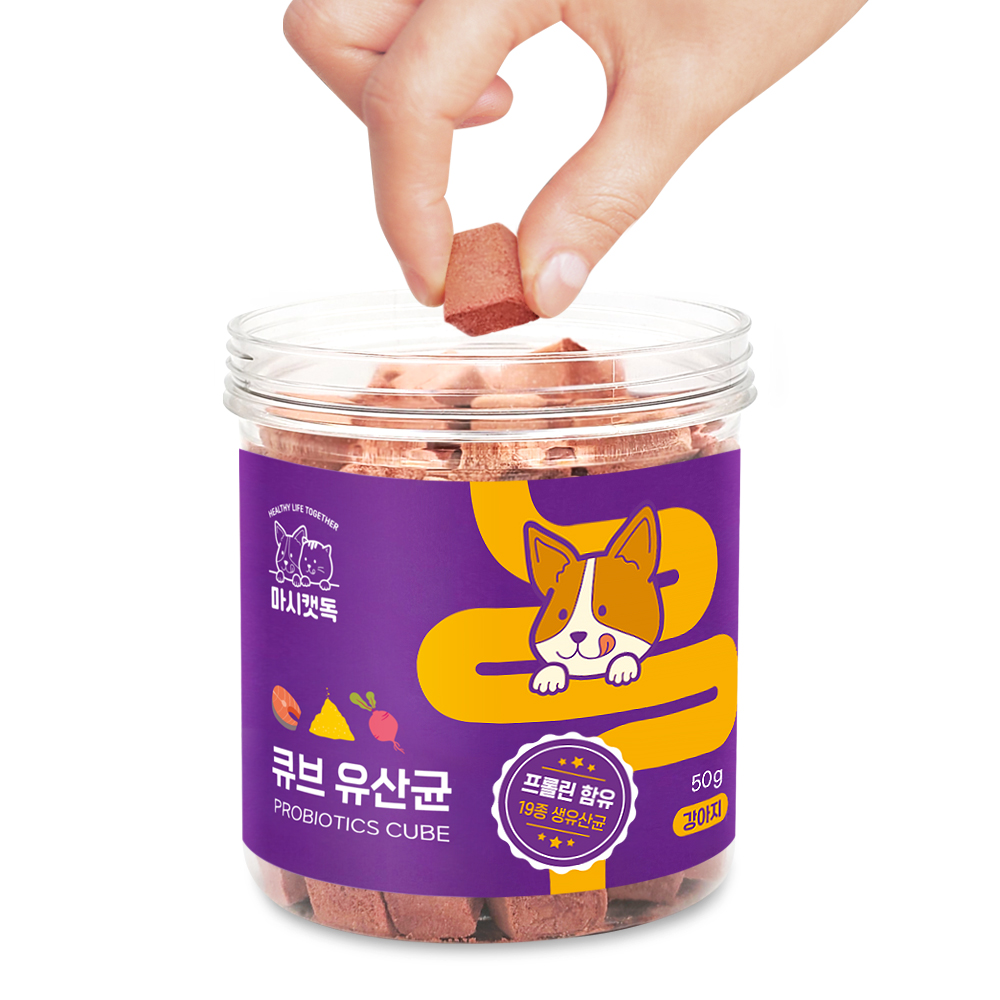 마시캣독 큐브 유산균 50g 변비 프로바이오틱스 영양제 - 상세 이미지 4