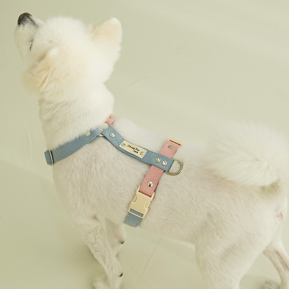 강아지 인식표 하네스 앞섬방지 H형 소형견 가슴줄 기본형 XS