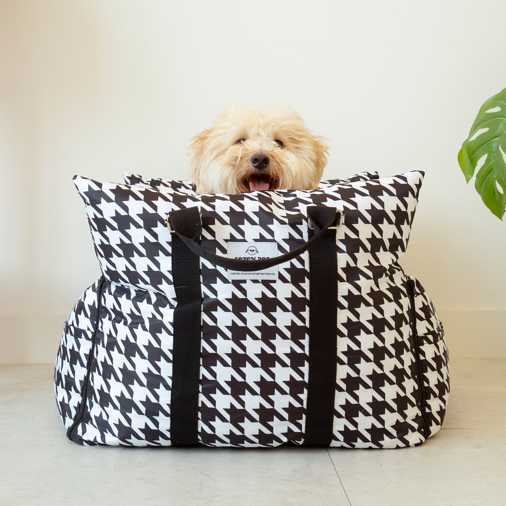 세븐펫 강아지 고양이 구름 카시트