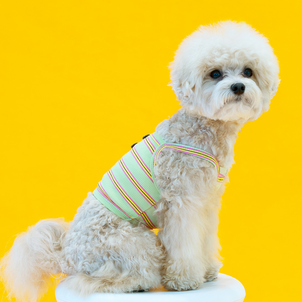 강아지겨울옷 강아지 실내복 티셔츠 츄잉크롭나시티