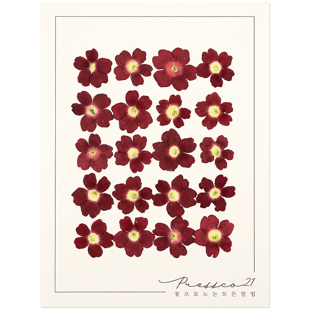 프레스코21 압화 꽃송이 버베나(빨강) 20p - 상품 이미지