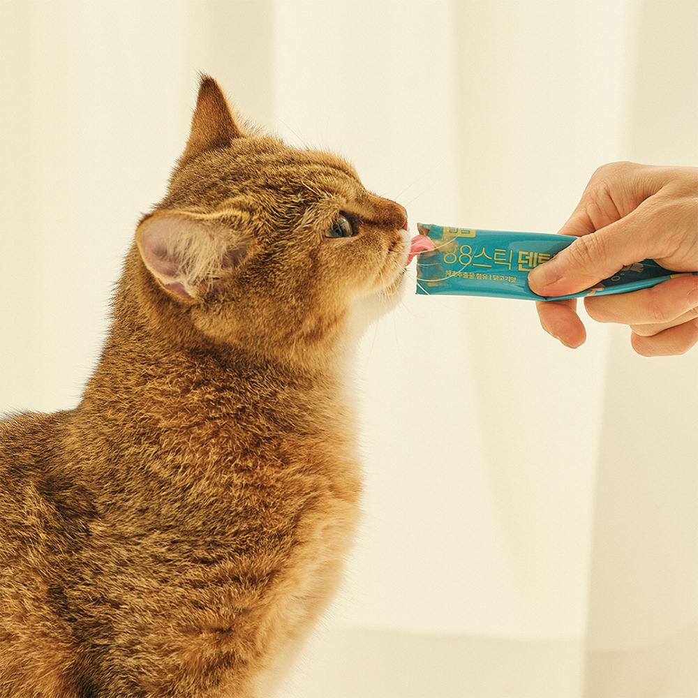냥쌤 88스틱 스타터팩(8종) 핏펫 고양이 츄르 간식 짜먹는 스틱
