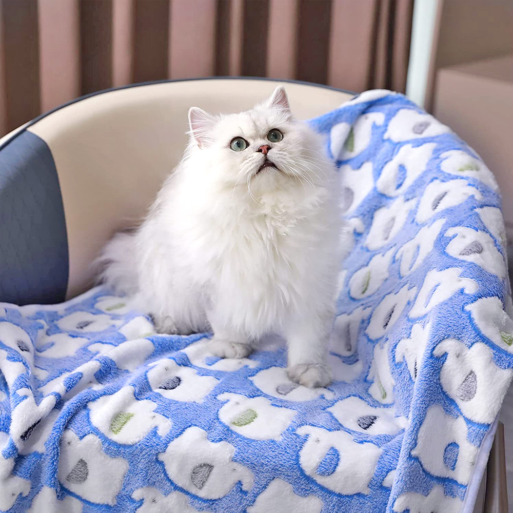 코끼리 프린팅 강아지 담요 극세사 고양이 기모 이불 애견 유모차 블랭킷 S - 상세 이미지 5