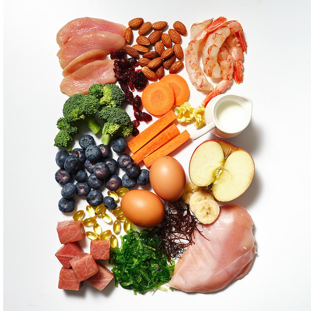 냥쌤 88스틱 스타터팩(8종) 핏펫 고양이 츄르 간식 짜먹는 스틱