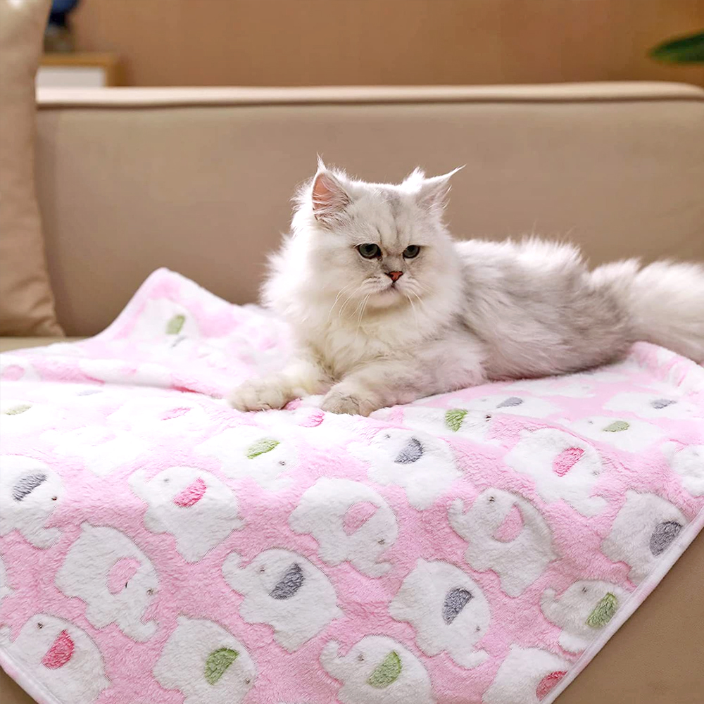 코끼리 프린팅 강아지 담요 극세사 고양이 기모 이불 애견 유모차 블랭킷 S - 상세 이미지 2