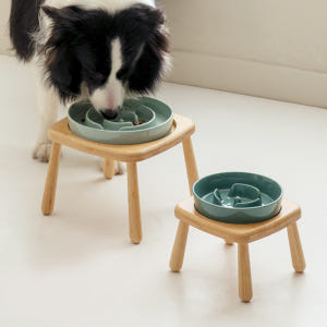 대형견밥그릇 급체방지식기 S 솔직 후기 | 실제 사용자 리뷰 총정리 - 상품 이미지 1