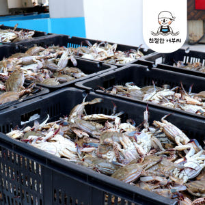 알배기 활 암꽃게 봄꽃게 몽당 1kg 생물 급냉 친절한어부씨 맛있게 먹은 솔직 후기 - 상품 이미지 4