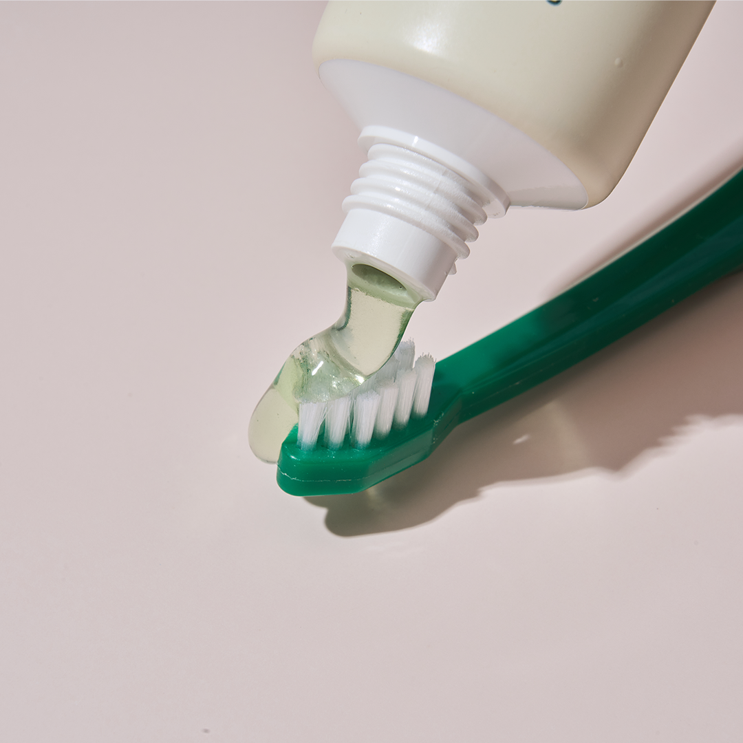 플라고 치약 강아지 고양이 입냄새 구취 치석 제거 바르는 치약 80g, 1개