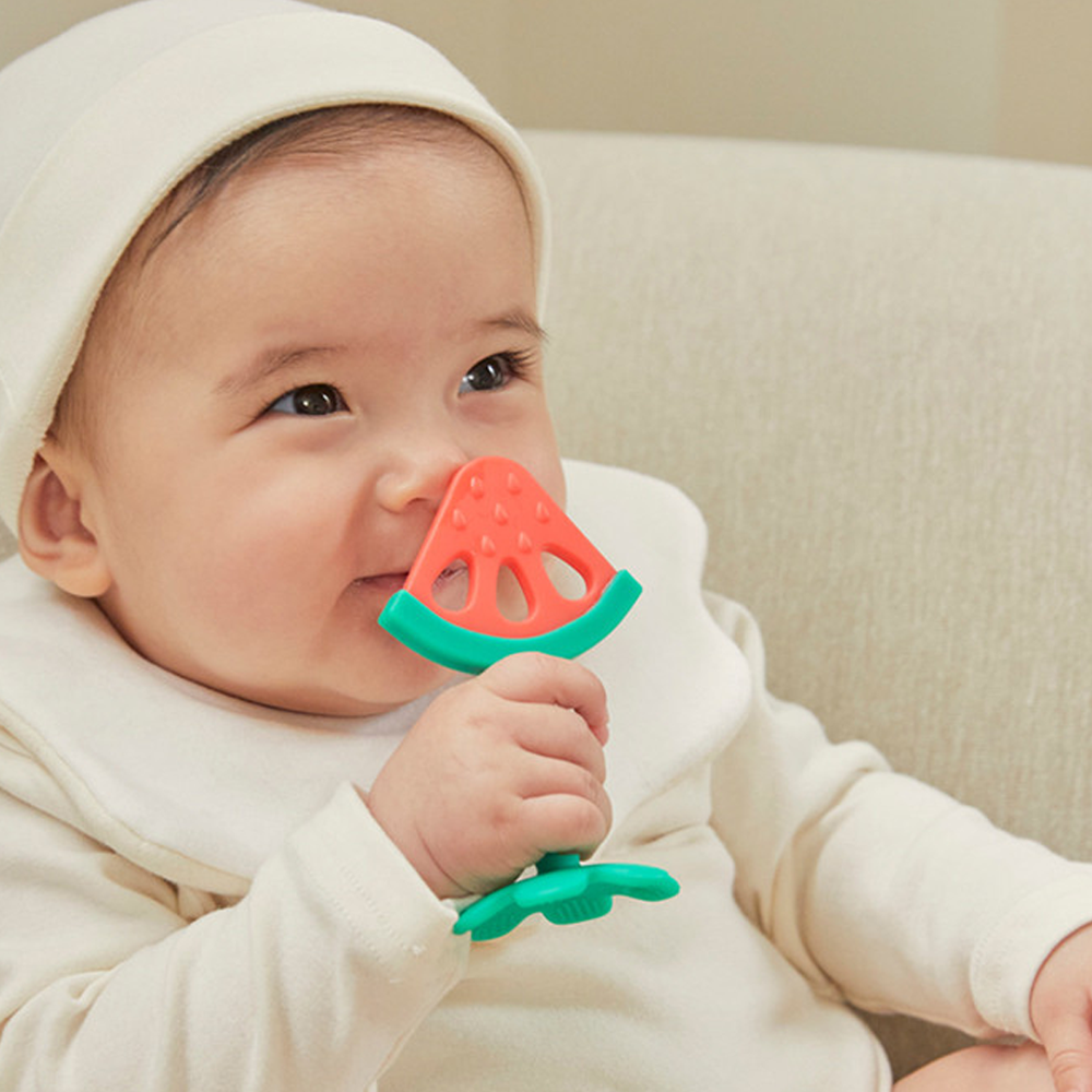 티지엠 수박 치발기 플래티넘 실리콘 보관케이스 포함