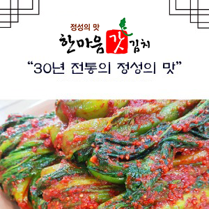 여수 돌산 갓 김치 전라도 국산 1kg, 1개 - 상품 이미지