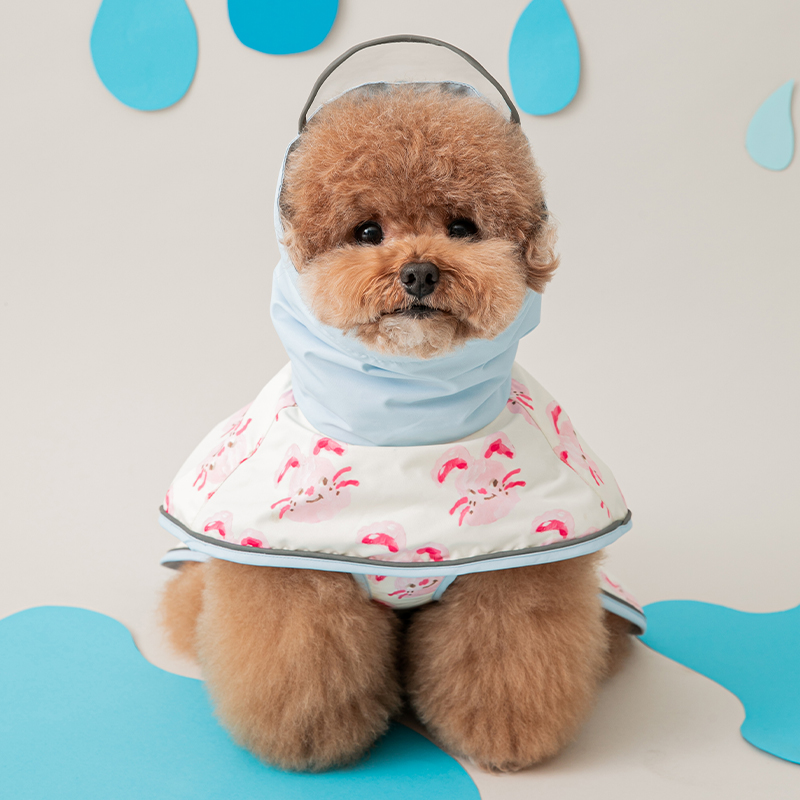 바잇미X포코리 프렌즈 하네스 레인코트 강아지 우비