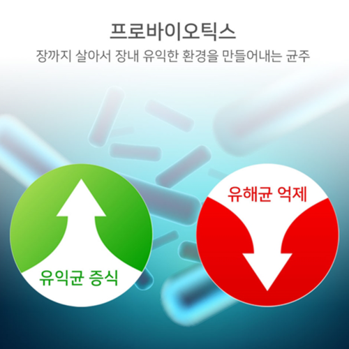 웰러스 혈당 케어 코로솔산 유산균 60캡슐 2개월 바나바잎추출물 프로바이오틱스 장건강 - 상세 이미지 4