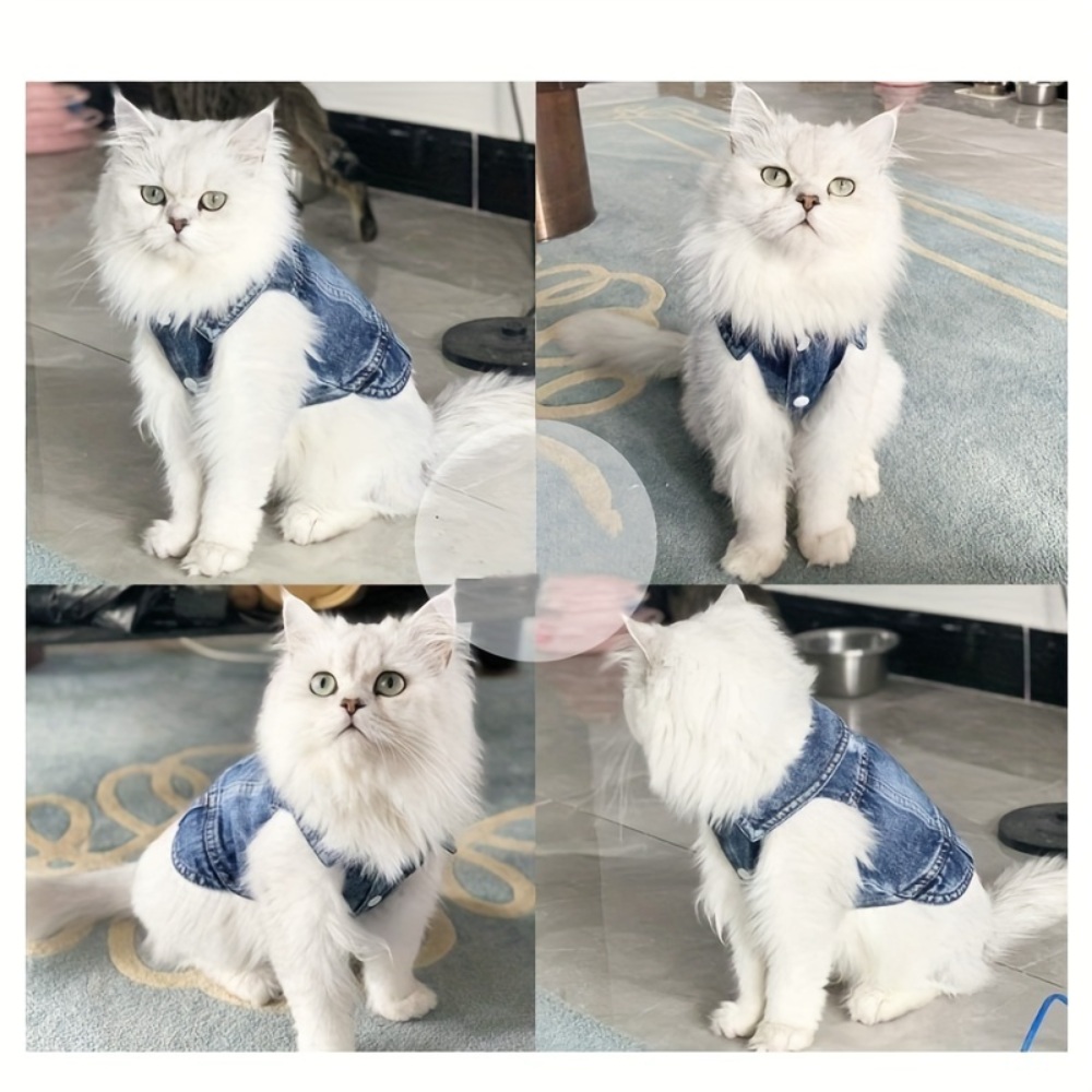 강아지 데님 옷 고양이 반려동물 상의 리드줄 포함 산책 세트
