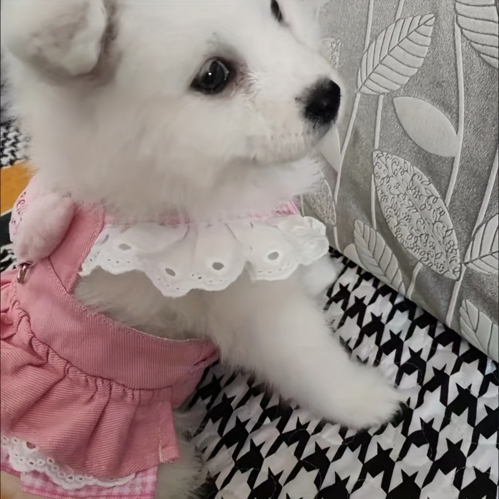 강아지 드레스 원피스 레이스 공주 스타일 의상 소형견 반려동물 고양이 옷 - 상세 이미지 5