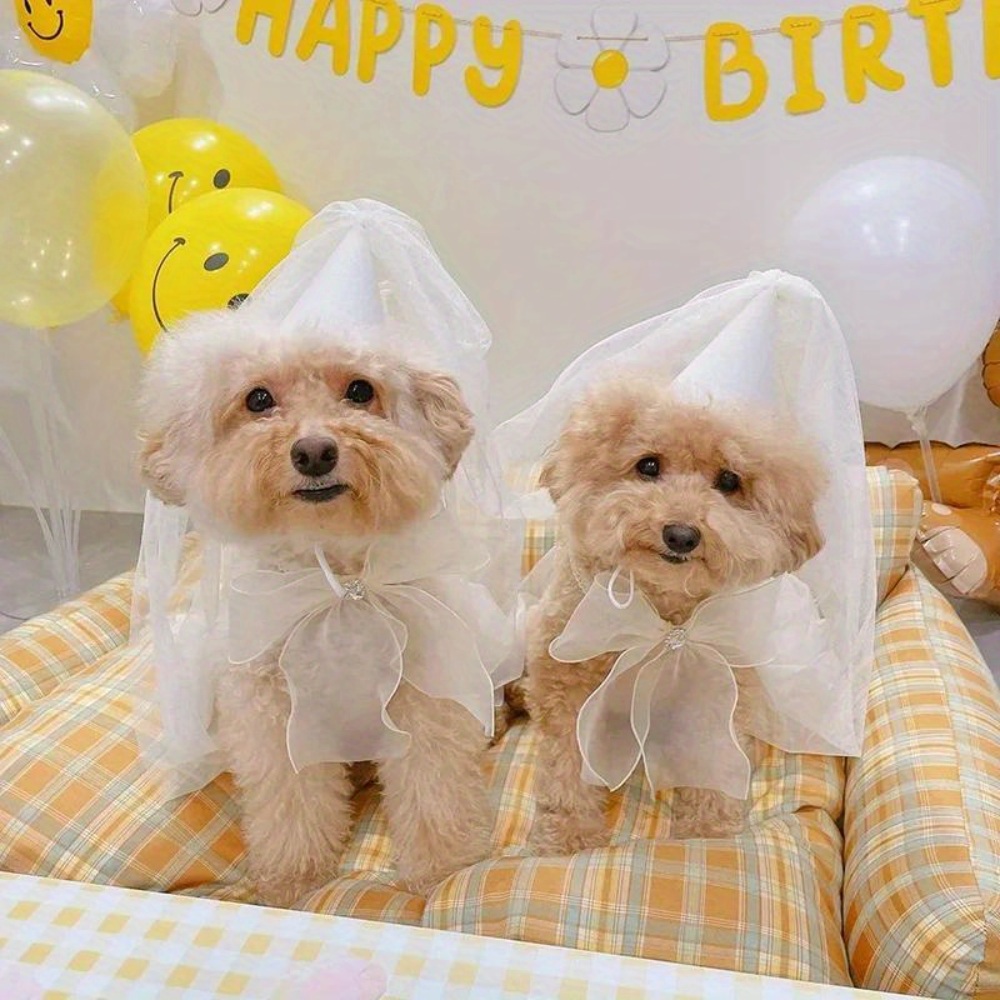 강아지 드레스 화동 생일파티 공주옷 웨딩 액세서리 세트 반려동물 파티의상 - 상세 이미지 2