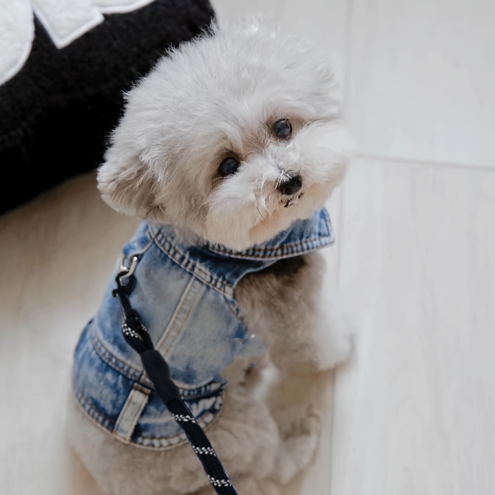 강아지 데님 옷 고양이 반려동물 상의 리드줄 포함 산책 세트