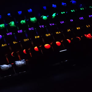 키캡 주문제작 LED 레이저 각인 기계식키보드 커스텀 굿즈 키캡 OEM ... 개봉기 | 실사용 후기 - 상품 이미지 4