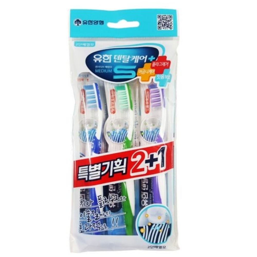2080 덴탈케어센서티브 탄력모 센서티브 덴탈케어 배열모 2 1개입 : 서치플레이스10