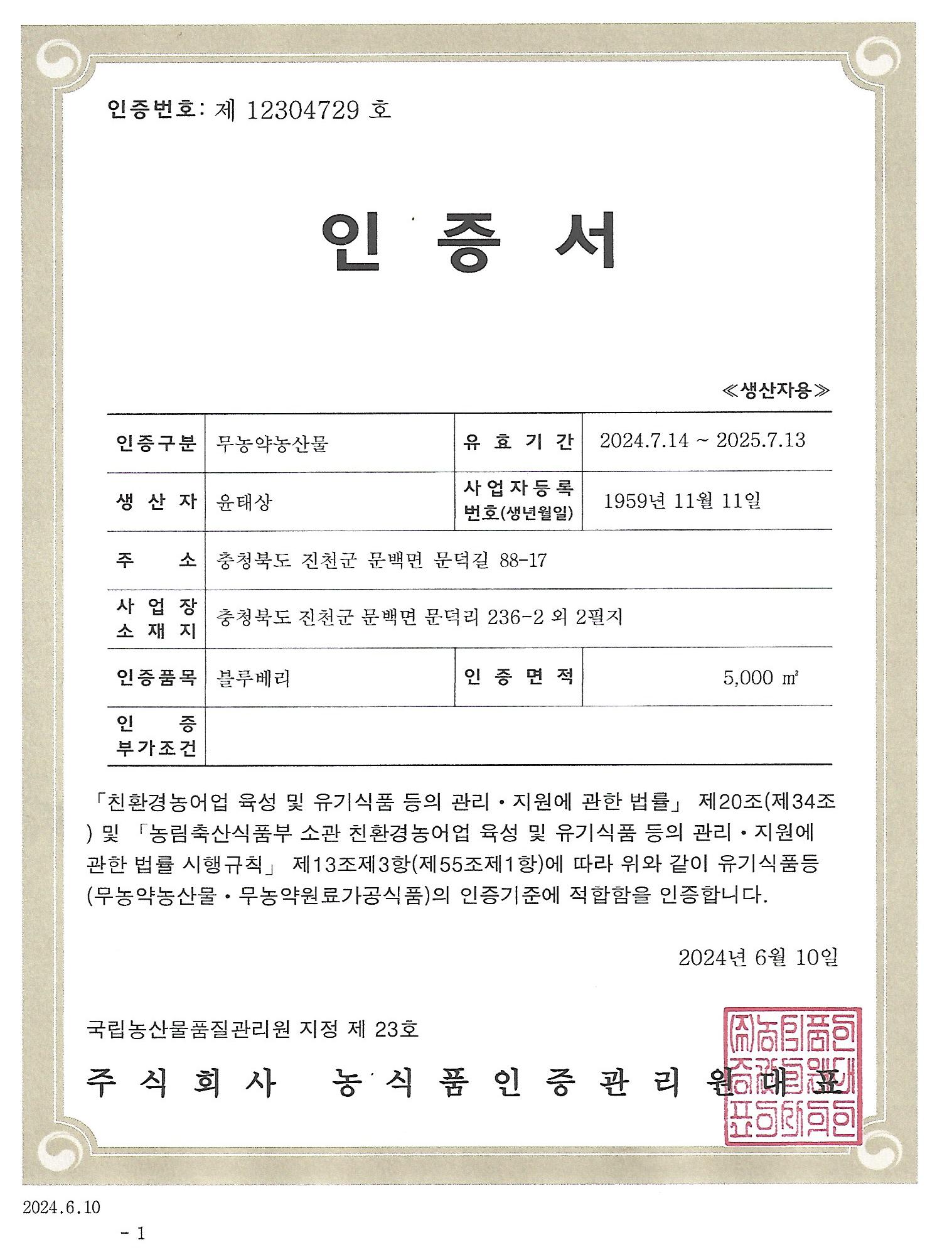 2026년 수확 국산 무농약 블루베리 생과 1kg 노지 과일 농장직영 당일수확 직배송 이미지 6