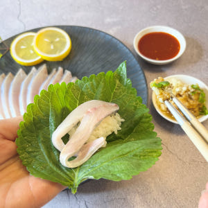 목포 생물병어 1마리 손질 병어회 특대 대 중 조림 세꼬시 맛있게 먹은 솔직 후기 - 상품 이미지 3