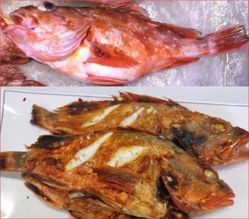 반건조 쏨팽이 쏨뱅이1kg 쏨팽이 황돔 반건조생선(예약주문상품)