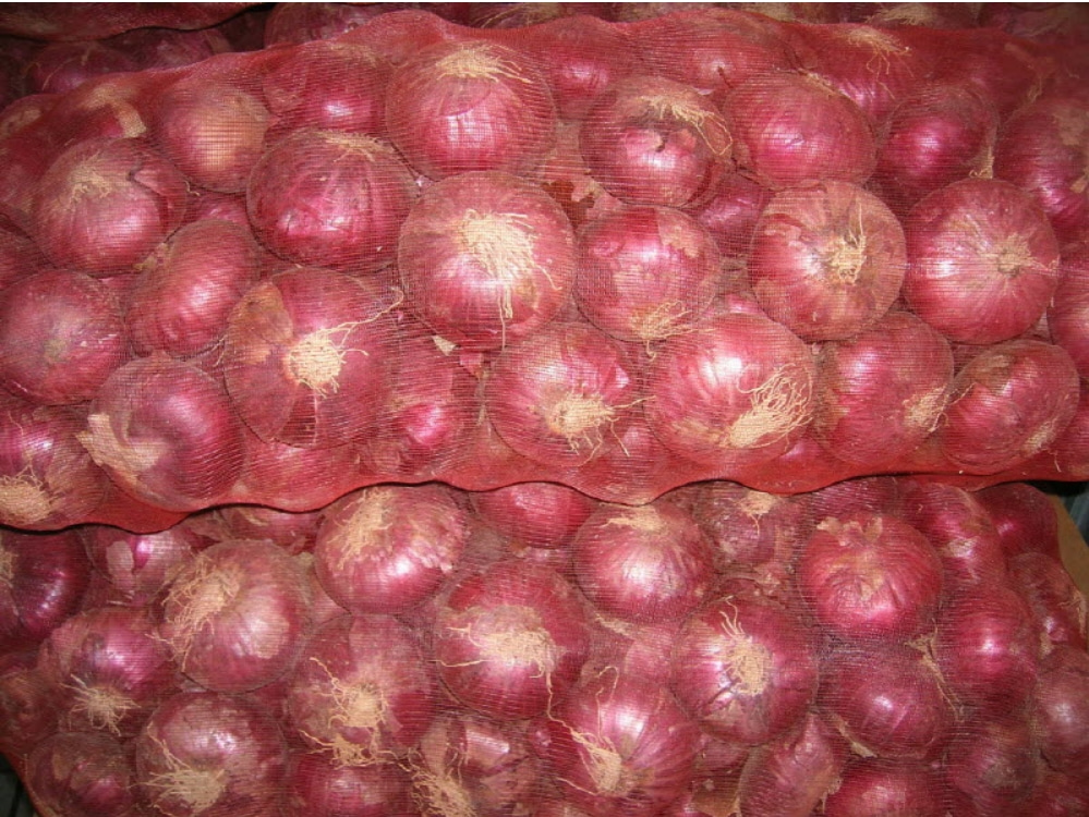 무안 빨간양파 3kg 적양파 자색양파 (예약주문상품) - 상세 이미지 3