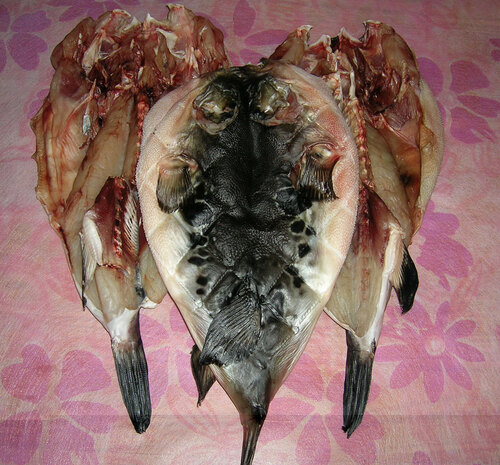 말린 복어 반건조 참복어 1kg 건참복 건복 손질복어 복조림 복어매운탕