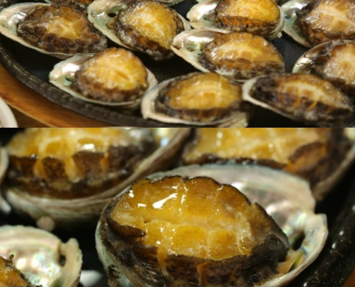 참전복 활전복 1kg (12-13마리) 해신탕 전복삼계탕 (살아있는 전복 책임배송) - 상세 이미지 2