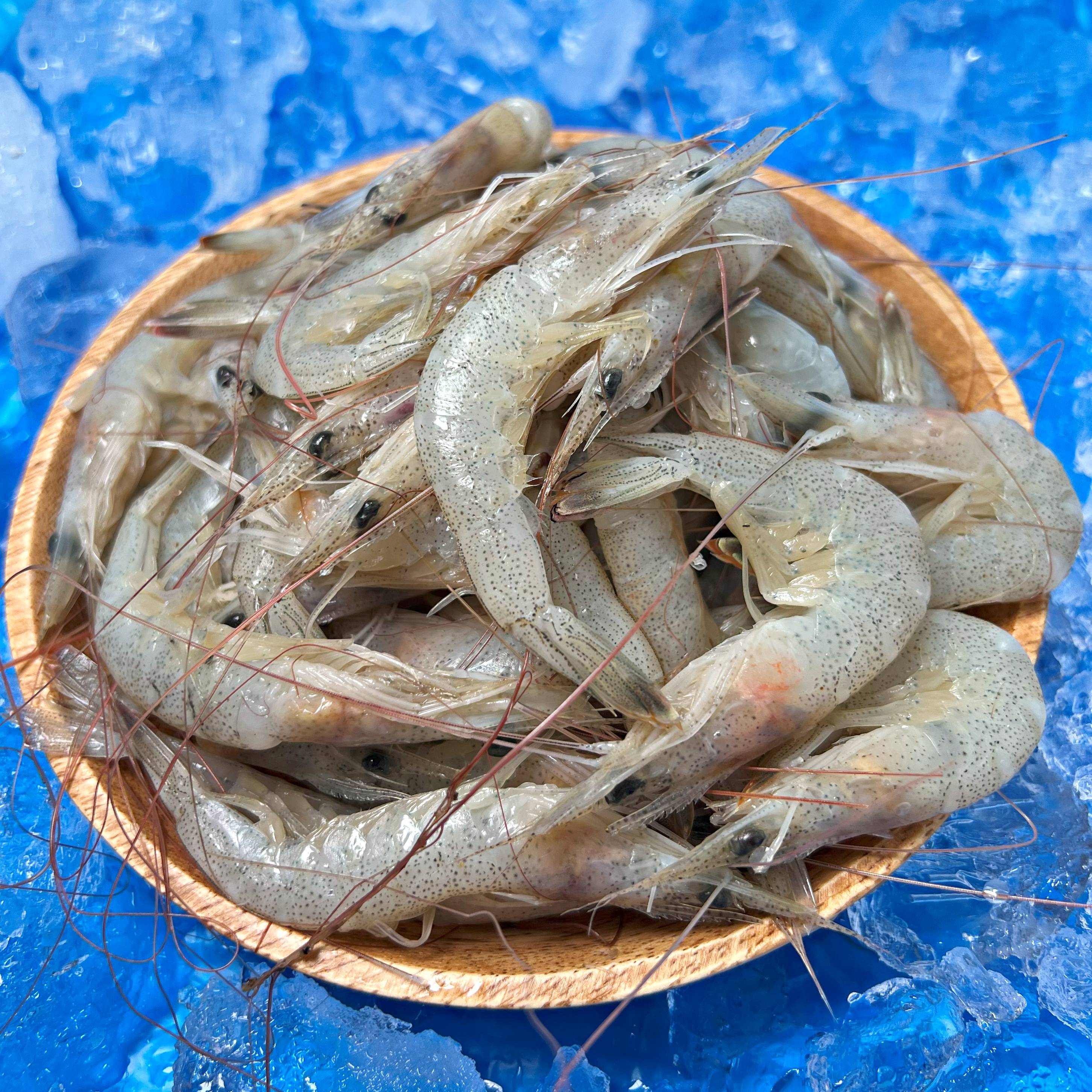 중하새우 자연산 생새우 500g 1kg (조업당일발송상품) 국산새우 김장용새우 - 상세 이미지 4
