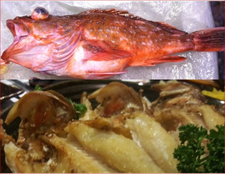 반건조 쏨팽이 쏨뱅이1kg 쏨팽이 황돔 반건조생선(예약주문상품) - 상세 이미지 3