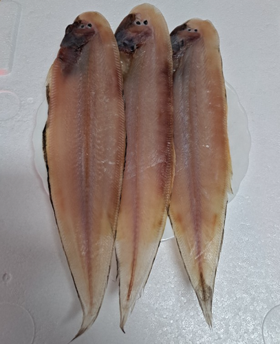 박대 서대 (대) 150-180g 생선구이 목포박대 군산서대 (3마리이상 구입상품)