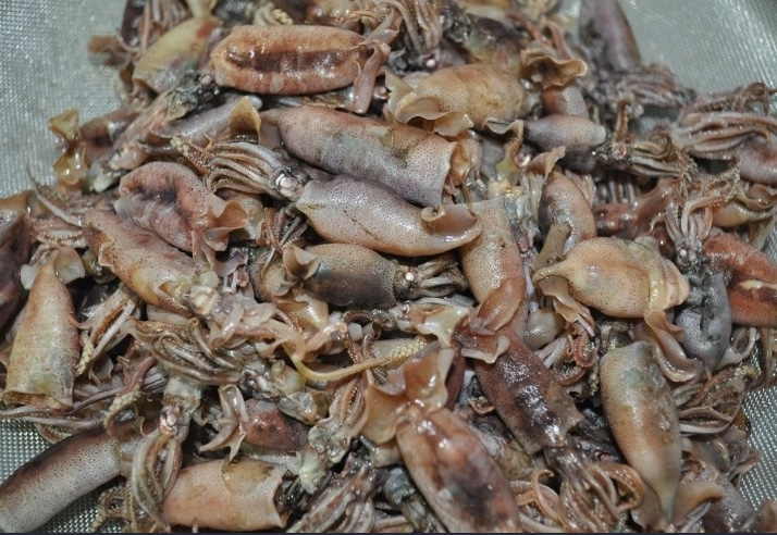 말린꼴뚜기 건 꼴뚜기 300g 500g 건어물 말린호래기 - 상세 이미지 2