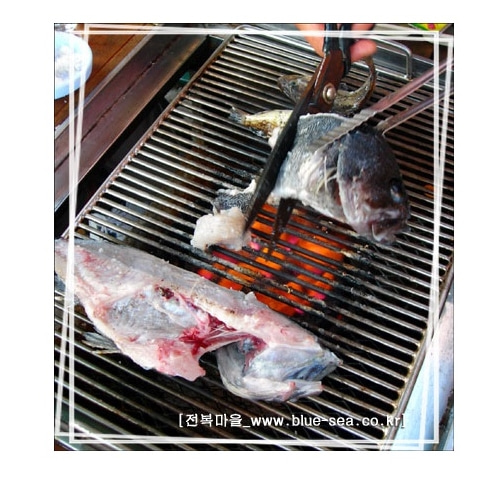 우럭1kg 1마리 생우럭 조피볼락 우럭매운탕 우럭찜 생선구이(조업당일발송상품) - 상세 이미지 3