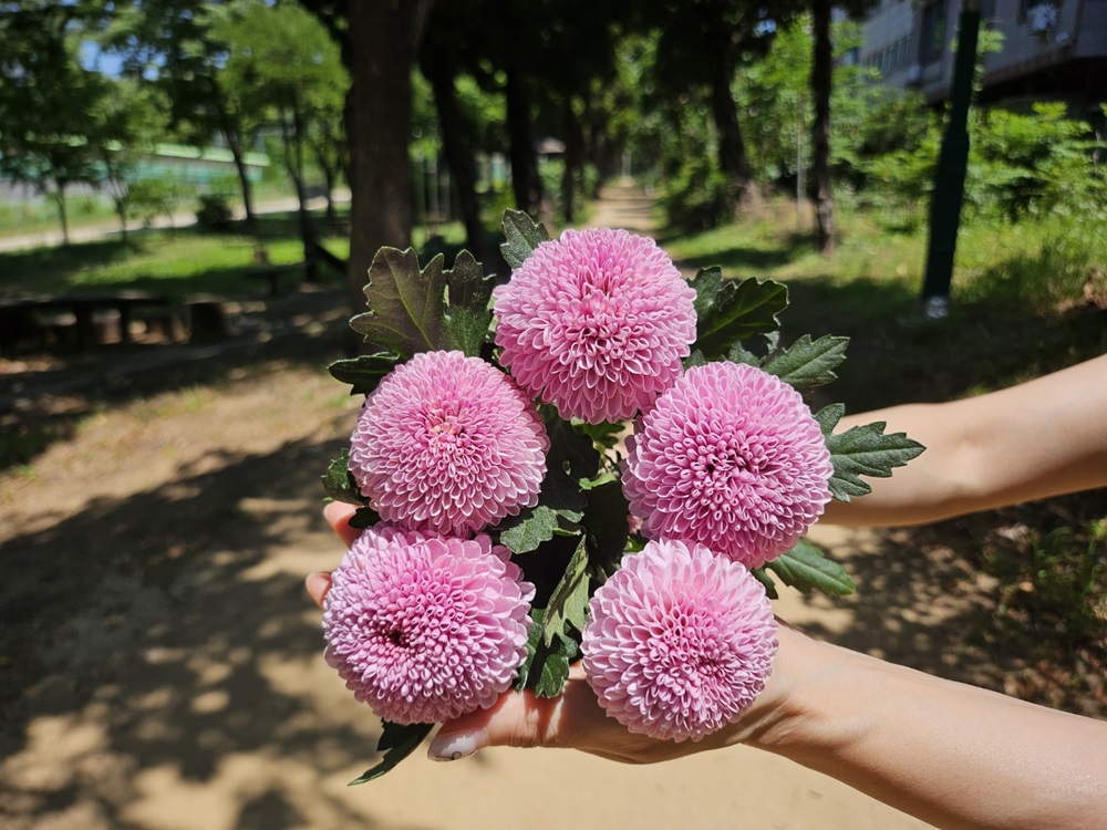유스풀몰 랜덤한가지꽃 1회 꽃 정기구독 정기배송 - 상세 이미지 2