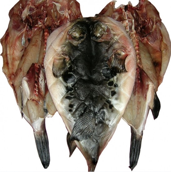 말린 복어 반건조 참복어 1kg 건참복 건복 손질복어 복조림 복어매운탕 - 상세 이미지 3