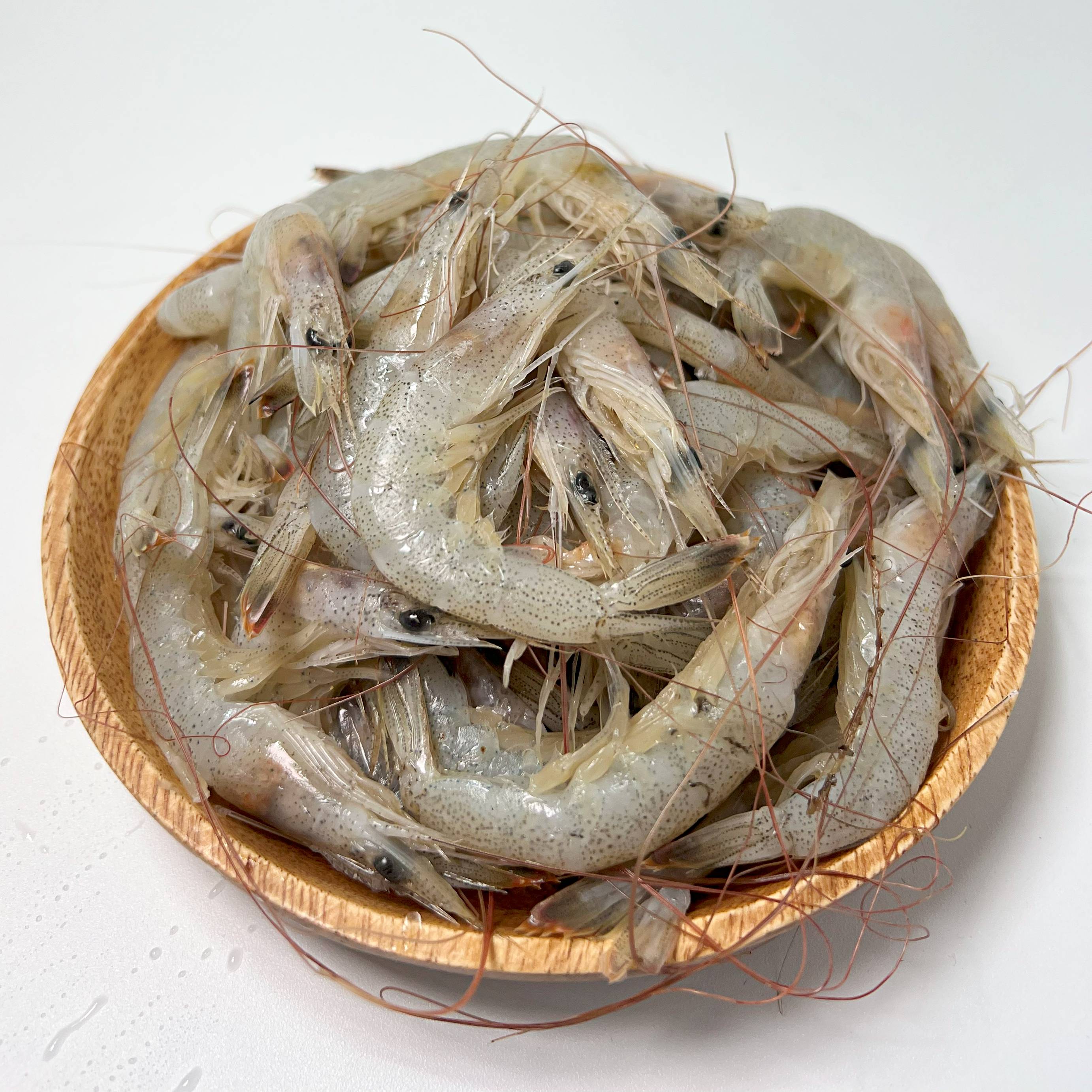 중하새우 자연산 생새우 500g 1kg (조업당일발송상품) 국산새우 김장용새우 - 상세 이미지 5
