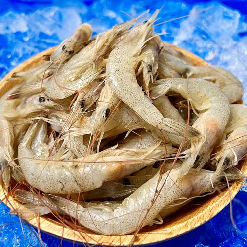 중하새우 자연산 생새우 500g 1kg (조업당일발송상품) 국산새우 김장용새우