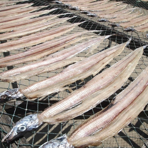 풀치 짼갈치 마른갈치 15마리 편갈치 건조갈치 풀치조림용