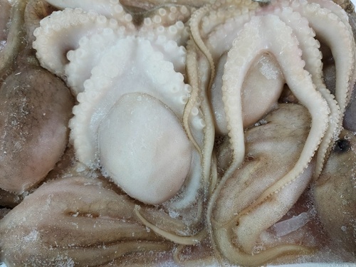 냉동쭈꾸미(주꾸미)1kg (6-7마리내외) 주꾸미볶음