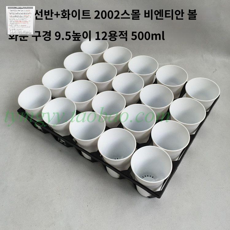 셀분리형 모종심기 구 모종판 육묘용기 망고스틴키우기 모종트레이 삽목용 - 상세 이미지 2