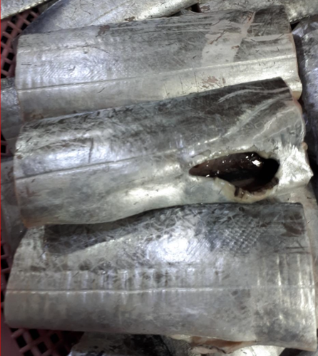 먹갈치 대갈치 3지갈치 1마리 생갈치 손질갈치 통갈치 (조업당일발송상품)