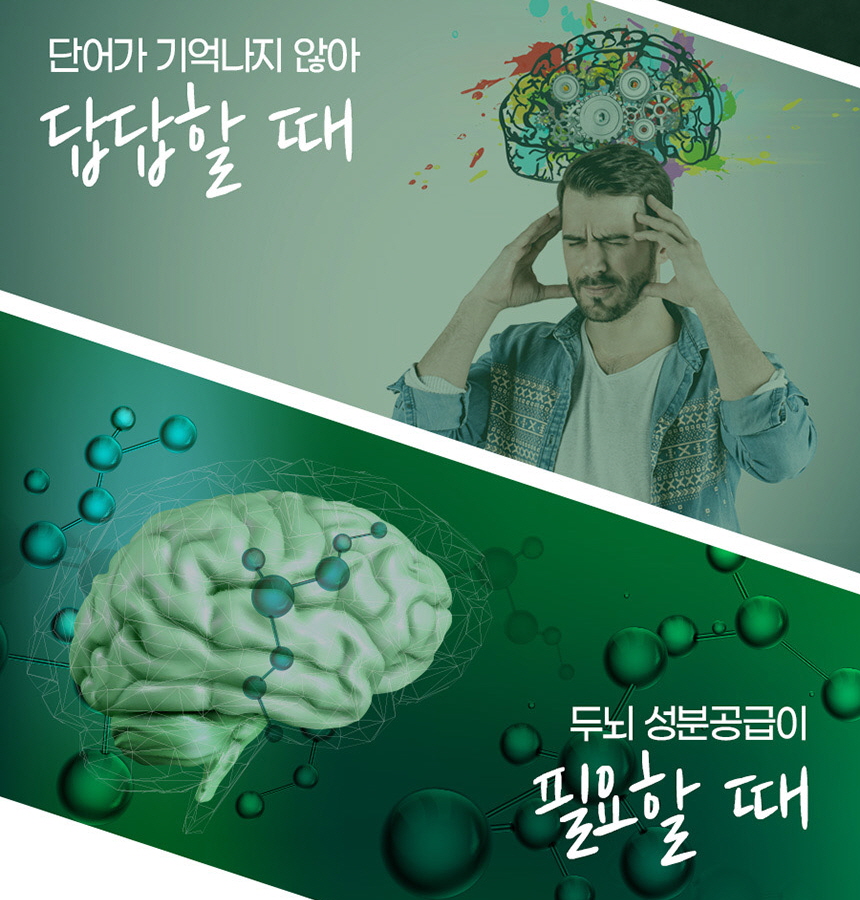 포스파티딜세린 포스타디딜세린 포스파디딜세린 뇌영양제 두뇌건강 기억력인지력 30캡슐, 1개 이미지 4