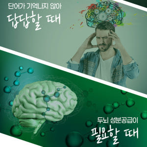 포스파티딜세린 포스타디딜세린 포스파디딜세린 뇌영양제 두뇌건강 기억력인지력... 맛있게 먹은 솔직 후기 - 상품 이미지 4