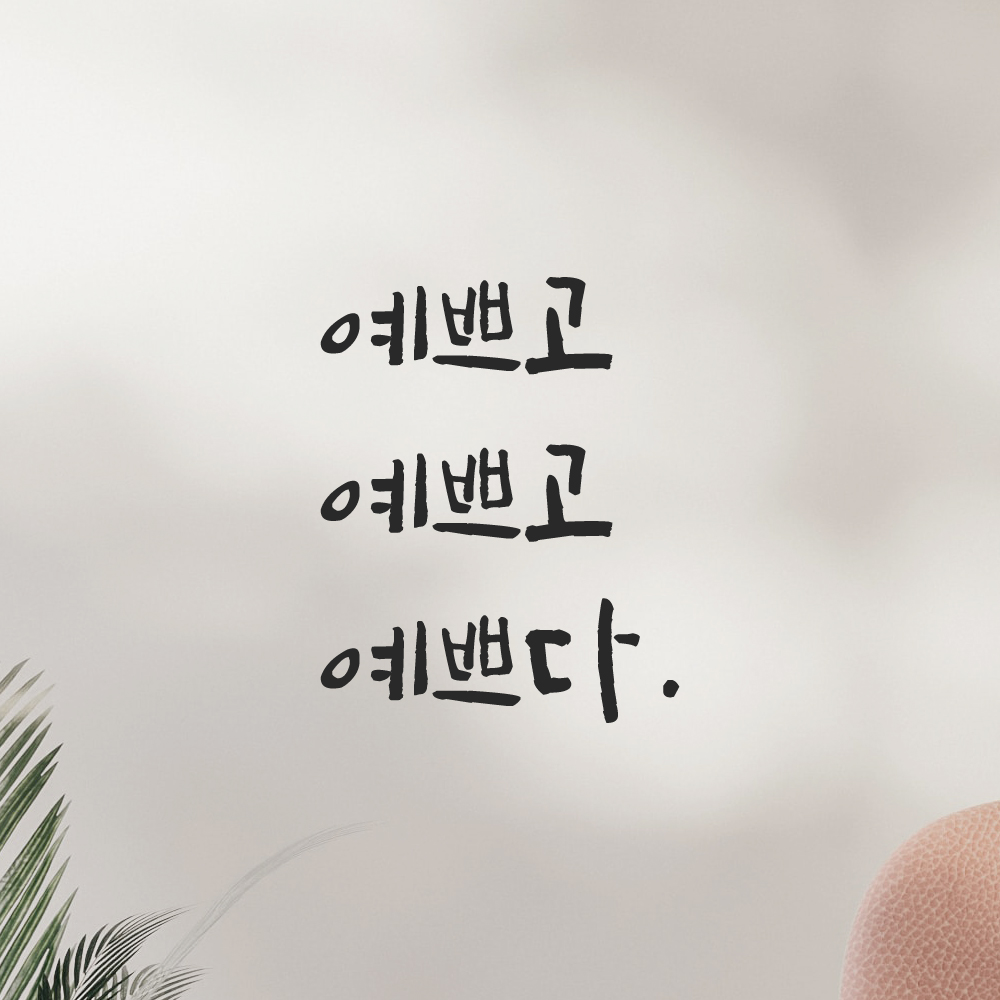 캘리그라피 레터링 스티커 예쁘고 예쁘다 LC-035S 검정 이미지 6