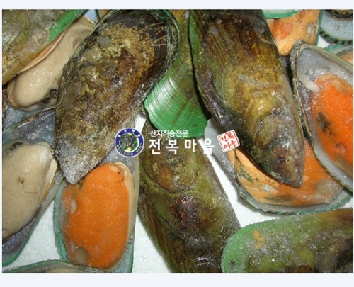 그린홍합 초록입홍합 800g 초록홍합 찜 홍합탕