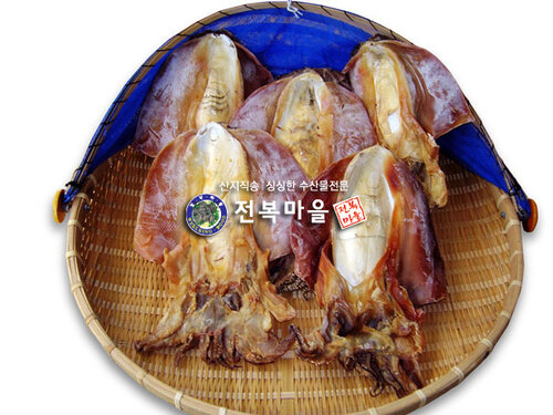 마른 갑오징어(특) 2마리 마른오징어 건갑오징어 말린 갑오징어 피데기 피대기