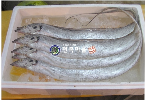 먹갈치 대갈치 1마리 (300-350g내외) 생갈치 통갈치 목포갈치(조업당일상품)