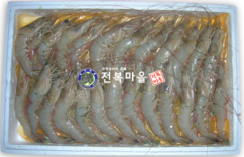 자연산대하 500g 1kg 국산대하 대하새우 왕새우 구이 선물용