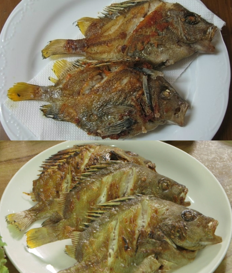 딱돔 군평선이 선물세트 금품생이 목포딱돔 금풍선이 샛서방고기 (예약주문상품) - 상세 이미지 4